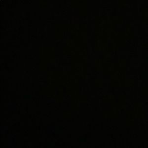 Meet your Posher, Allie